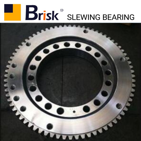 EX100 slewing bearing EX100 slewing bearing